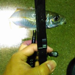 レガーメ　牙突